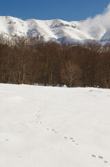 Abruzzo - Majella National Park - San Leonardo Pass - Footprints on fresh snow