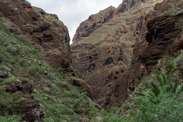 Landscape of Masca gorge. Tenerife. Canary Islands. Spain.