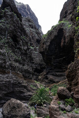 Fototapeta na wymiar Landscape of Masca gorge. Tenerife. Canary Islands. Spain.