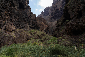 Landscape of Masca gorge. Tenerife. Canary Islands. Spain.