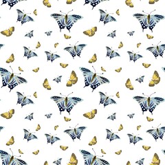 Butterfly yellow blue a watercolor pattern sketch