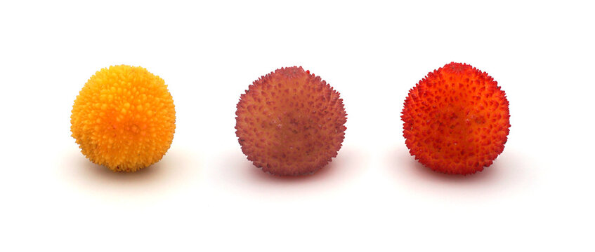 Trois arbouses de couleurs diff&eacute;rentes isol&eacute;es sur fond blanc
