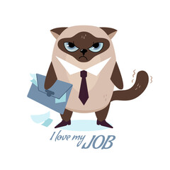 Cute but angry Siamese cat - office worker