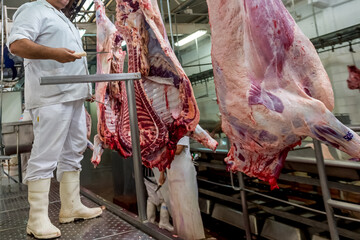 Beef meat production, slaughter of cows. Slaughterhouse cows in Buenos Aires Argentina
