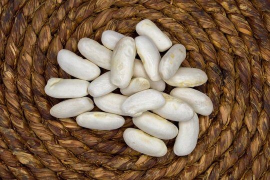 Fabes, judias, alubias