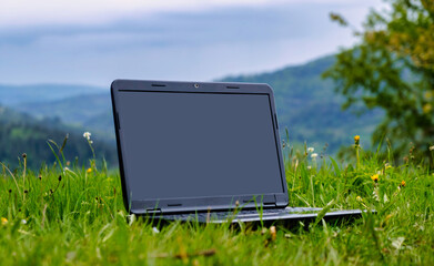Laptop on green grass in park. Working outdoor concept