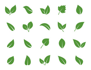 Leaves icon set. Green leaf icons. Leaves of trees and plants. Vector elements for eco, bio and vegan logos. Vector illustration.