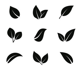 Fototapeta na wymiar Leaves icon set. Leaf icons. Leaves of trees and plants. Vector elements for eco, bio and vegan logos. Vector illustration.