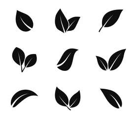 Fotobehang Leaves icon set. Leaf icons. Leaves of trees and plants. Vector elements for eco, bio and vegan logos. Vector illustration. © Anya