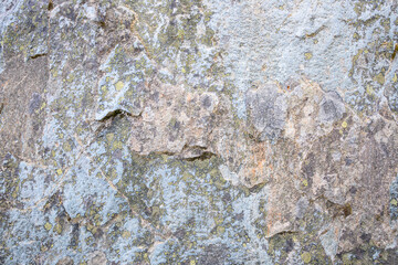 Smooth stone face growing lichen in the wild, as a nature background
