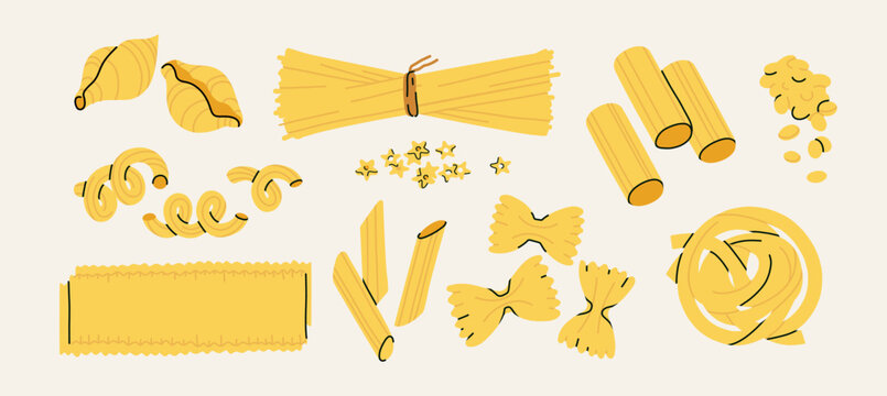 Various pasta types set. Shapes of noodles like spaghetti, linguine, shell, farfalle, kanelone, lasagne, elbows, fettuccine, macaroni, penne, rigatoni. Italian homemade food concept. Isolated vector 
