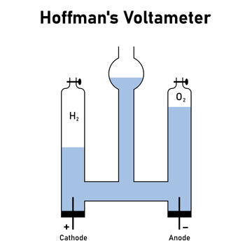 Hoffman's voltameter diagram. Electrolysis of water. Scientific vector illustration isolated on white background.