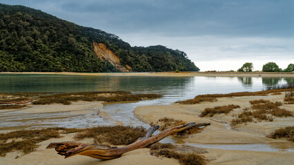 Bark Bay, Abel Tasman National Park, Tasman region south island, Aotearoa / New Zealand.