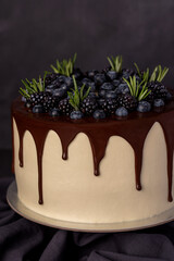 Macro food photography of cake, blueberries, blackberries, rosemary, chocolate