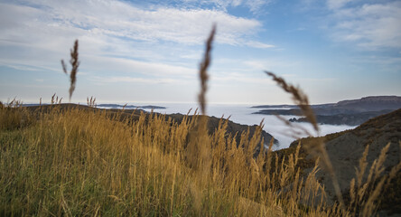 Obraz premium Fog and clouds creep along the bottom of the valley and mountain hills overgrown with vegetation and dry yellow grass in autumn, in the mountains of the Caucasus