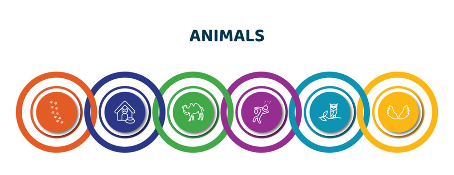 Editable Thin Line Icons With Infographic Template. Infographic For Animals Concept. Included Pawprints, Doghouse, Camel Facing Left, Drunk, Wise, Wing Icons.