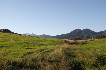 高原の景色