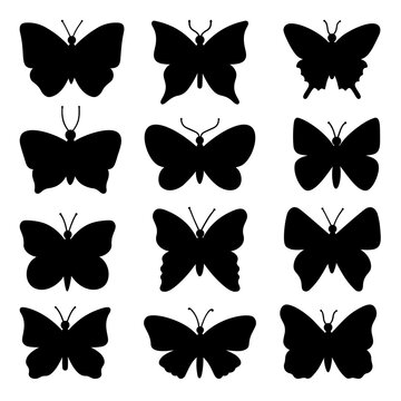 Butterflies silhouette set. Flying insects. Hand drawn vector illustration isolated on white background