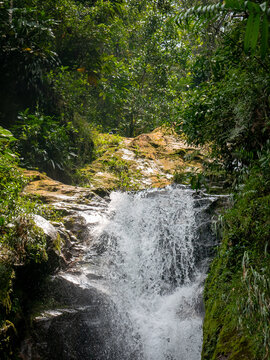 Lots of Vegetation, Plants, Moss on the Rocks at Waterfalls in Envigado, Antioquia, Colombia