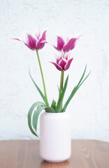 Naklejka na ściany i meble Delicate pink tulips in a vase, spring still life, minimalist, floral background