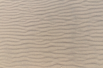 Sand texture ripples