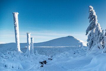 Poland - Sněžka - Śnieżka - Sniezka - 1603 m Summit - High quality Photo - Blue sky  and snow wintertime - obrazy, fototapety, plakaty