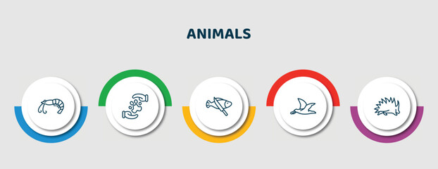 editable thin line icons with infographic template. infographic for animals concept. included prawn, pet care, fish and a knife, albatross, porcupine icons.