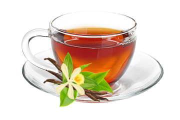 Cup of tea with fresh tea leaves on a saucer transparent background PNG Pro PNG