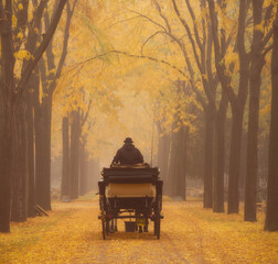 vintage carriage on the road in autumn