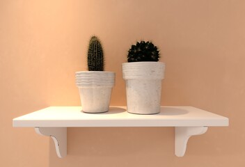 Concrete pots. Modern planters with green flowers and green succulent plant on white wood shelf on pink background. 3d rendering.