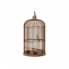 vintage birdcage isolated on white