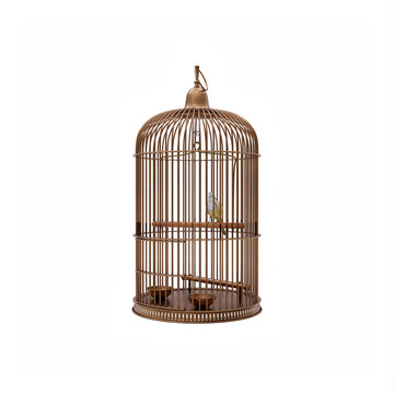 vintage birdcage isolated on white