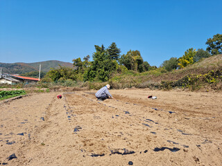 
It is a field with a working farmer.