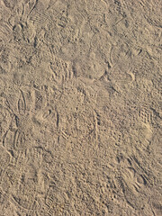 closeup of sand pattern of a beach in the summer