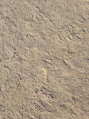 closeup of sand pattern of a beach in the summer
