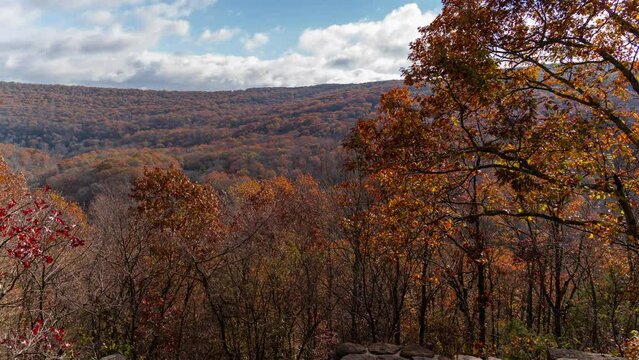 Time Lapse Devil's Den State Park CCC Scenic Overlook Autumn Fall Foliage Vibrant Colors Arkansas USA