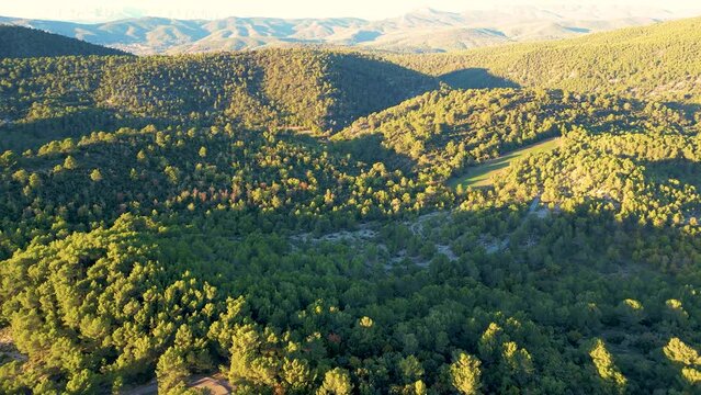 For&ecirc;t de Sainte Baume, Var, France
