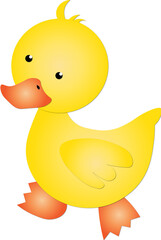 duck