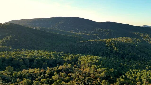 For&ecirc;t Sainte Baume, Var, France