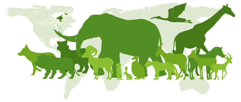 Green silhouette of wild animals