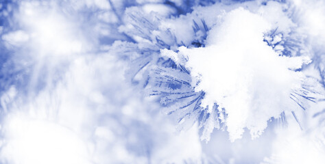 Christmas tree covered snow and ice crystals, festive frame from branches and free space for text. Abstract fairy New Year background.