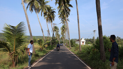 Goa, India 19th October 2022: 4k drone shots of Dear Zindagi Raod known as the Parra coconut tree...