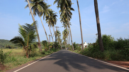 Goa, India 19th October 2022: 4k drone shots of Dear Zindagi Raod known as the Parra coconut tree...