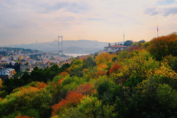 Obraz premium autumn in the istanbul city