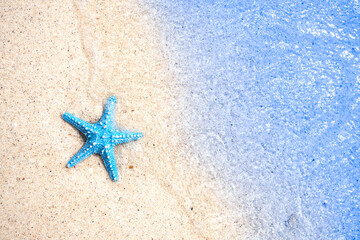 Starfish on sandy beaches and stunning blue sea waves on the Andaman Islands.