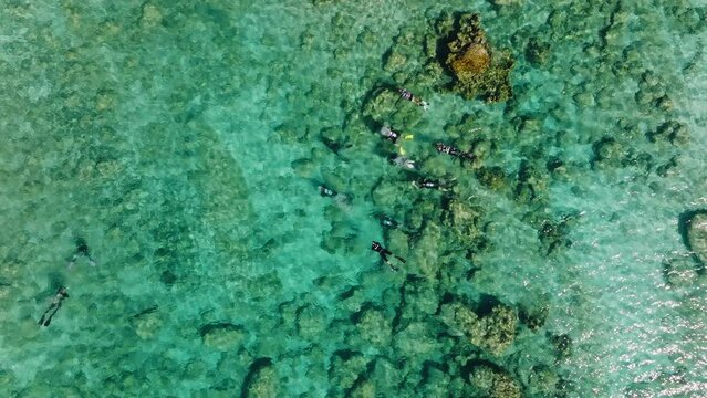 Drone overhead group of divers and snorkelers, turquoise Mediterranean ocean