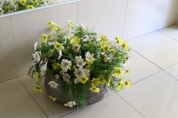 Flower pot with green plants in the city park.