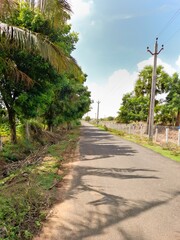 Obraz premium path in the park