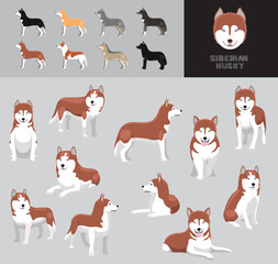 Dog Siberian Husky Red Coat Cartoon Vector Illustration Color Variation Set