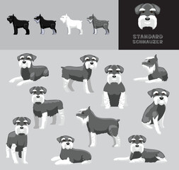 Dog Standard Schnauzer Grey Coat Cartoon Vector Illustration Color Variation Set